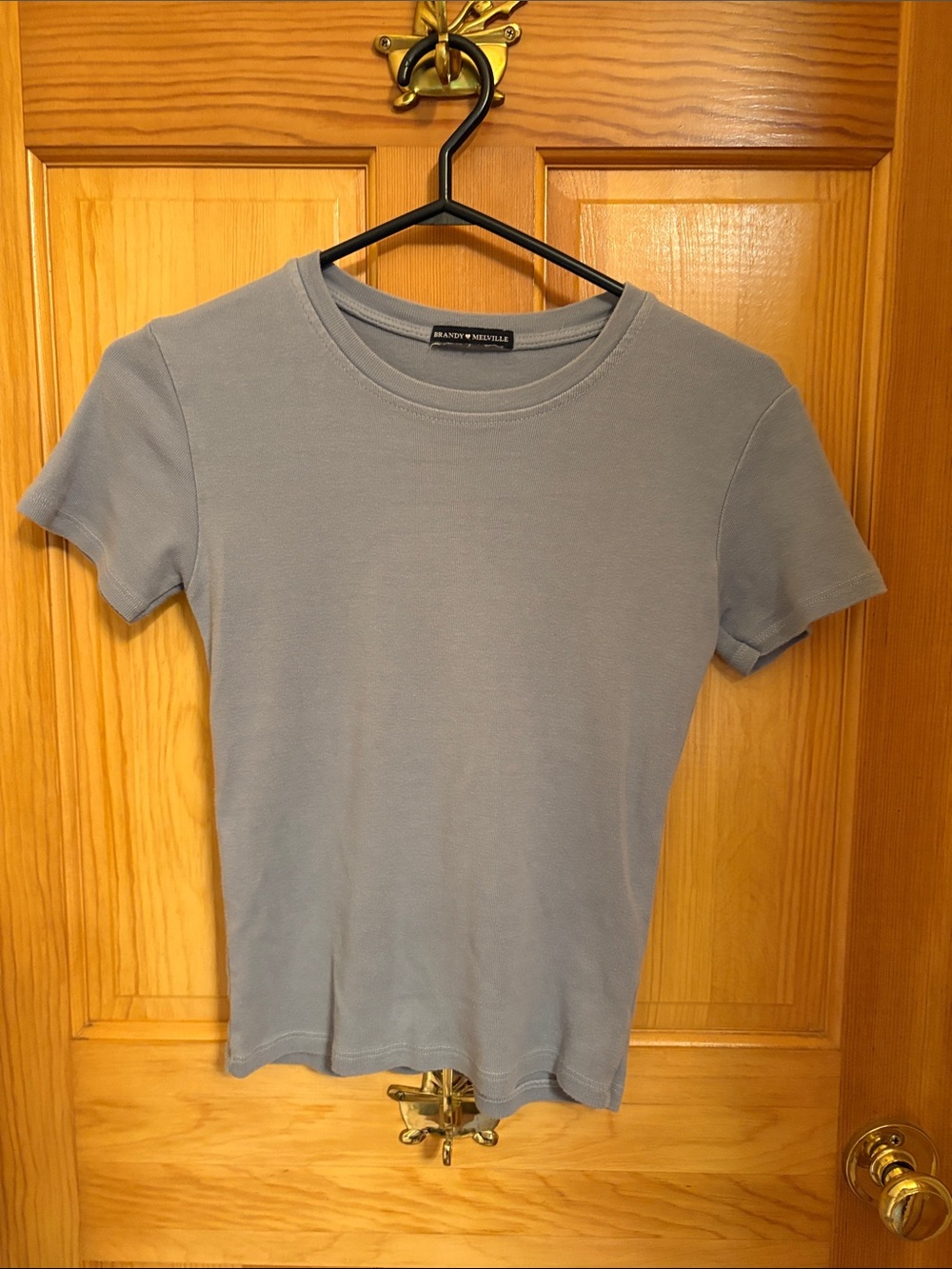 Brandy Melville Dusty Blue Ribbed Crewneck Tee